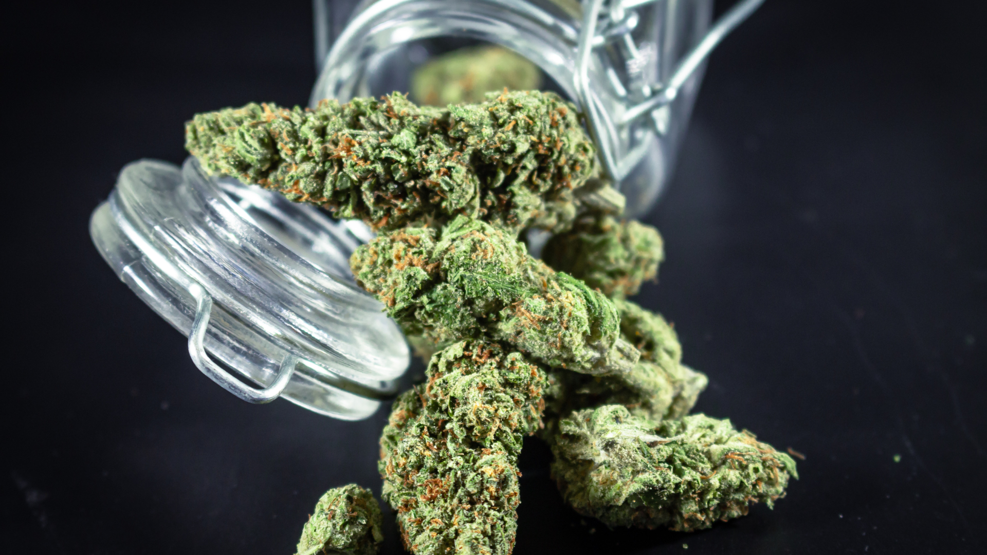 Drugs and substance policy